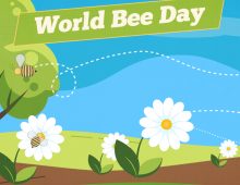 World Bee Day #SaveTheBees style frames